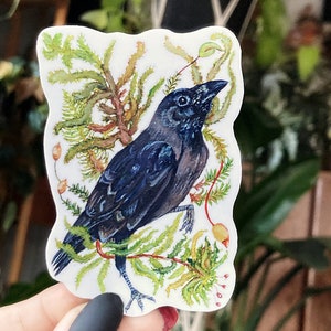 May include: A black crow perched on a branch with green and brown foliage. The crow has a dark blue sheen and is surrounded by small red berries.