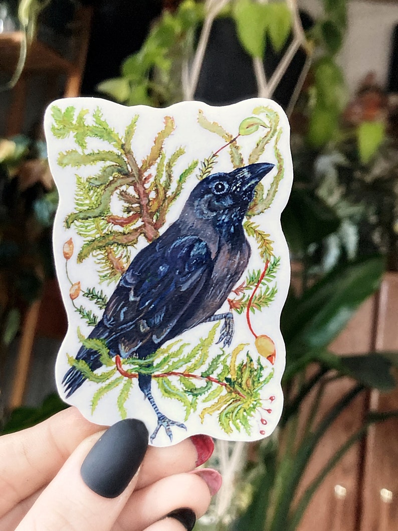 May include: A black crow perched on a branch with green and brown foliage. The crow has a dark blue sheen and is surrounded by small red berries.