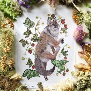 Impression de coyote, peinture à l&#39;aquarelle, art du coyote, art animalier, peinture de coyote, art de loup, art de la forêt, art de la fraise, impression d&#39;art, art animalier