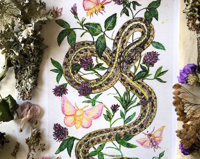 Snake Prints