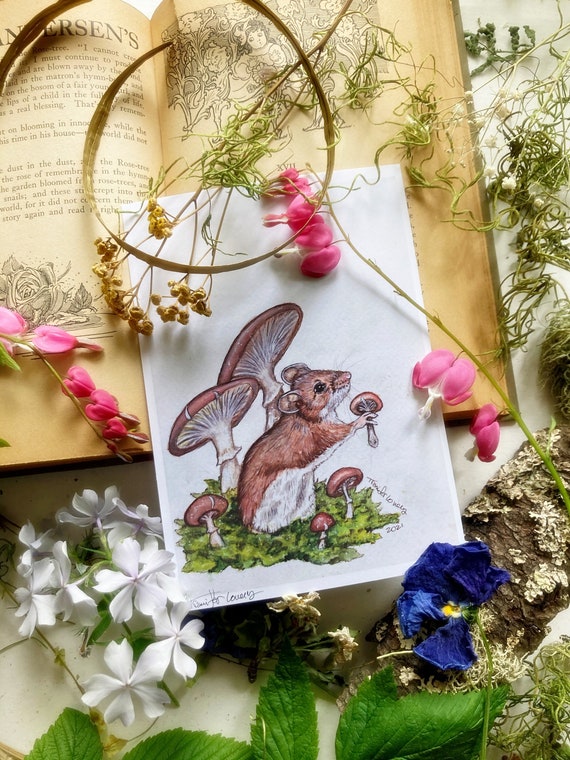 Fairy Fae Greetings Card - Berry Mouse Fairy Fae Greetings Card - Berry Mouse