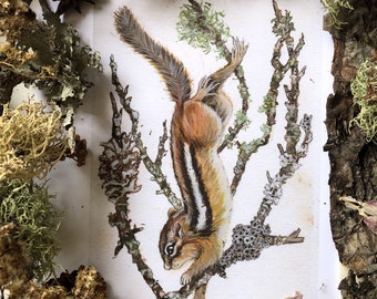 Chipmunk Print - Chipmunk Watercolor, Chipmunk Wall Art, Wildlife Art Print, Woodland Nursery Art, Chipmunk Wall Decor, Chipmunk Art