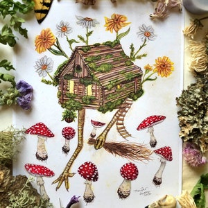 May include: A watercolor painting of a whimsical house with a mossy roof and wooden walls, perched on spindly legs with a broom resting on the ground. The house is surrounded by white and yellow flowers, and red and white mushrooms.