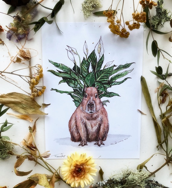 Capybara Art Prints, Peace Lily Art, Watercolor Animal Art, Rainforest Art, Houseplant Home Decor, Floral Wall Art, Capybara Gifts
