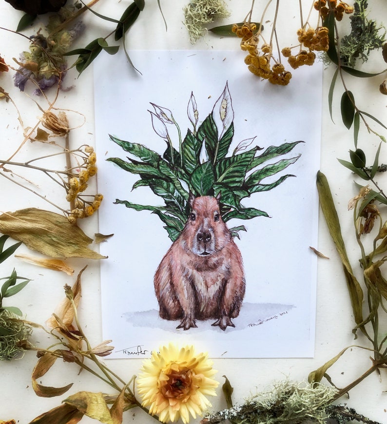 May include: A watercolor illustration of a capybara with a peace lily plant growing out of its head. The capybara is brown and has a white muzzle. The peace lily plant has white flowers and green leaves.