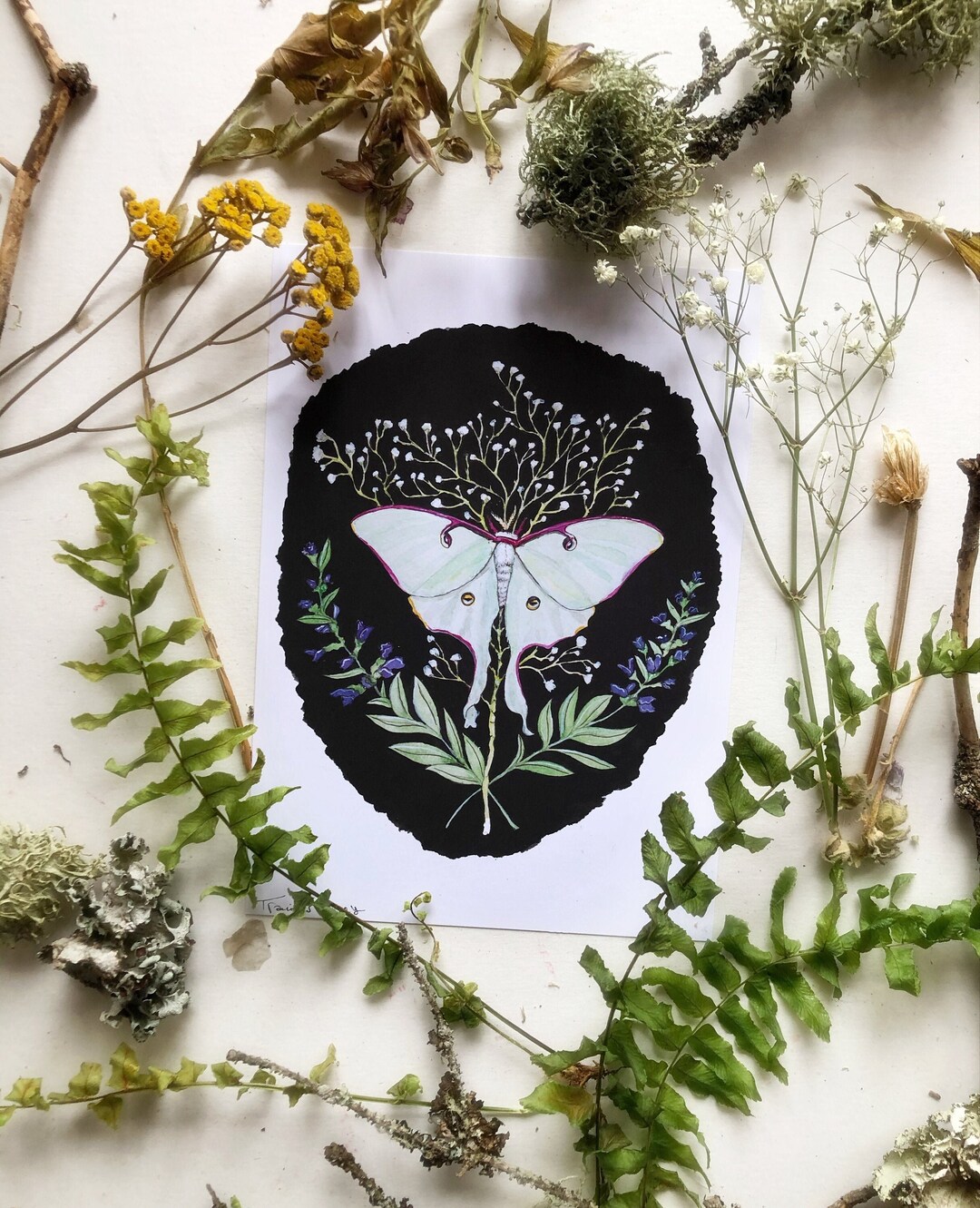 ダイヤモンドアートクラブ Luna Moth Witch Luna Moth Witch – Diamond Art Club