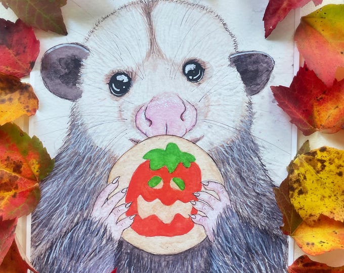 Cookie Possum Prints
