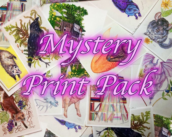 Surprise Print Grab Bag