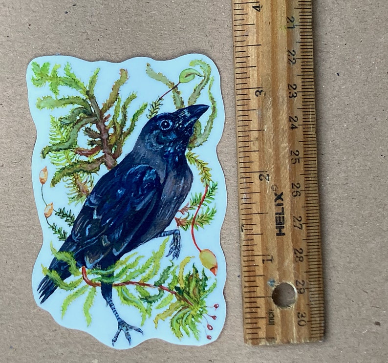 May include: A black crow with a blue-grey tint perched on a branch of green foliage. The crow is facing to the right and has a white background.