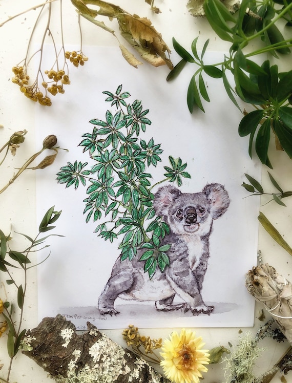Koala Art Prints, Cute Animal Art, Watercolor Animal Art, Rainforest Art, Houseplant Home Decor, Umbrella Tree, Koala Bear Nursery Art