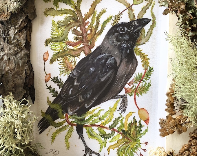 Crow Prints