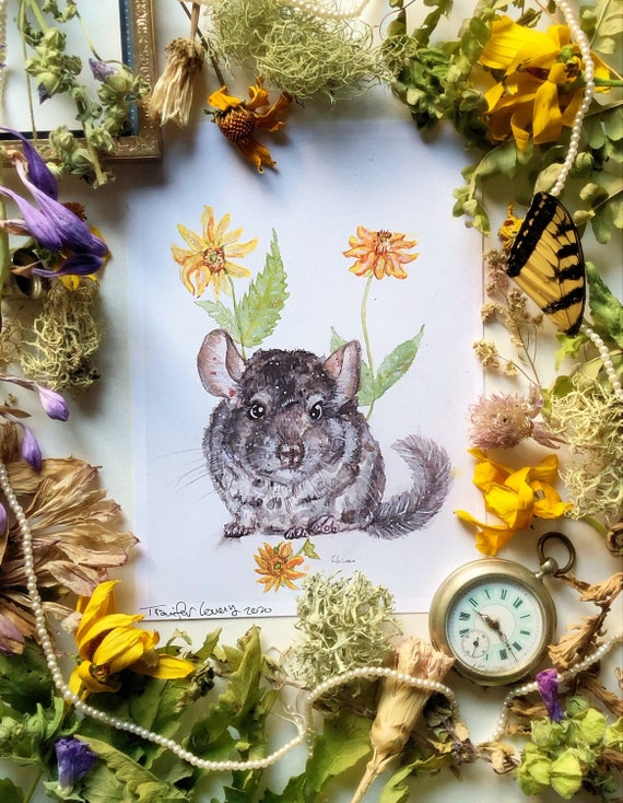 Chinchilla Print, Art Prints, Watercolor Painting, Chinchilla Art