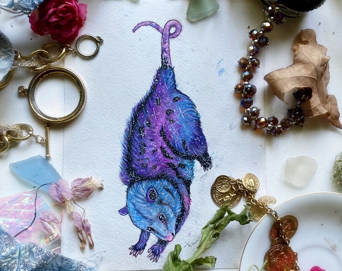 Galaxy Opossum Original Painting