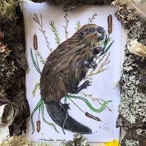 Beaver Prints
