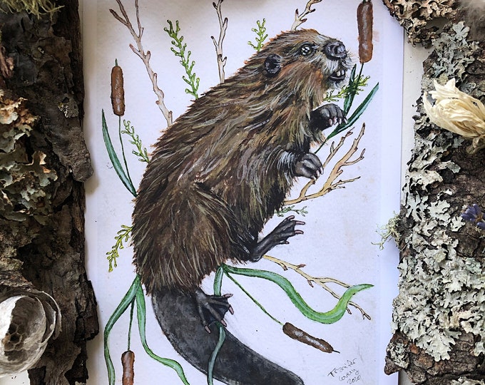 Beaver Prints