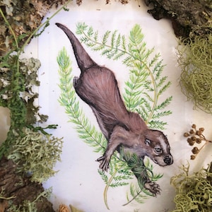 Otter Print - Cute Otter Art, Otter Nursery Decor, Wildlife Art, Woodland Nursery Decor, Cute Otter Art, Otter Art Print, Animal Art Print