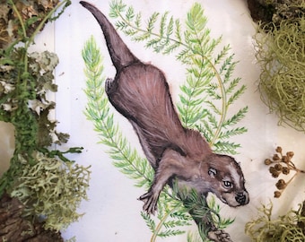 Otter Prints