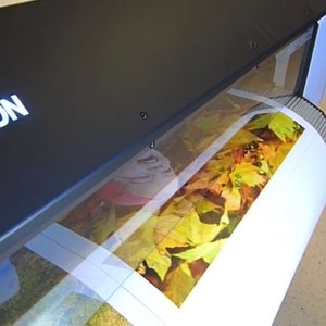 Peut inclure: Une imprimante Epson grand format avec un rouleau de papier qui s'y alimente. Le papier est imprim&eacute; avec une image color&eacute;e de feuilles d'automne.