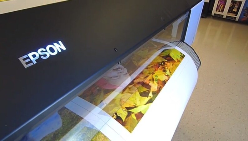 Peut inclure: Une imprimante Epson grand format avec un rouleau de papier qui s'y alimente. Le papier est imprim&eacute; avec une image color&eacute;e de feuilles d'automne.