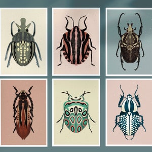 Art print Beetles - Set of 6 - A5 - 5.8&quot; x8.3&quot; Insect illustration, animal illustration, illustrated beetle,  animal prints, gift cards