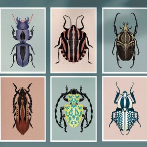 Kunst print met geillustreerde kevers - set van 6 prints - insekt illustratie - A5 print - fantasie insekten - pastel kleur