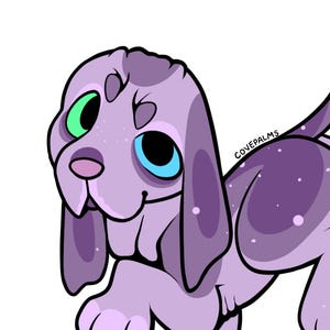 Purple hound adopt