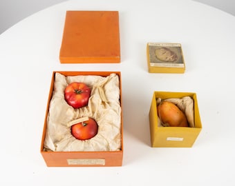 Vintage wax vegetables in the original box, Vintage decorative wax tomatoes, Didactic models for the school, Old realistic fruit models
