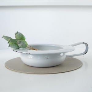zimmerpflanze mit z Zamioculcas | 70cm | Online kaufen