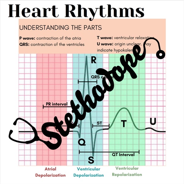 Heart Rhythm Strips Bundle