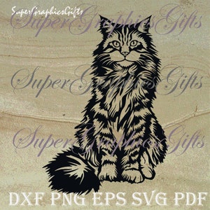 Maine coon svg Maine coon plik do cięcia Maine coon kot svg Kot svg Sylwetka kota Clipart kota Laserowe żelazko na transferze Grawerowanie Portret wycięty