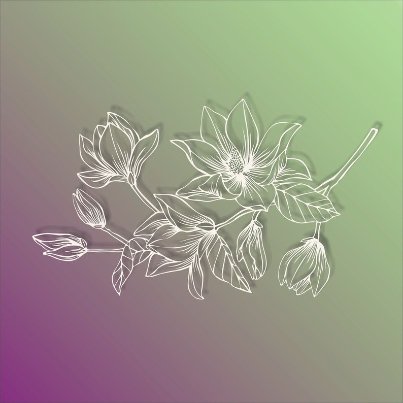 Free Free 345 Magnolia Flower Svg File Free SVG PNG EPS DXF File