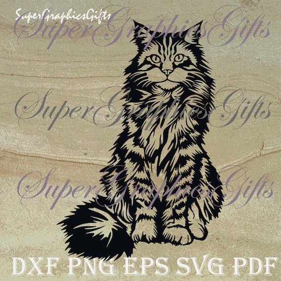 Maine coon svg Maine coon cut file Maine coon cat svg Cat svg Cat silhouette Cat clipart Laser Iron on transfer Engravin  Portrait cut out
