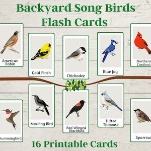Backyard and Garden Birds Digital Download Flashcards for Kids | Homeschool | 16 Printable 3 x 5 Cards Flashcards with Common Song Birds