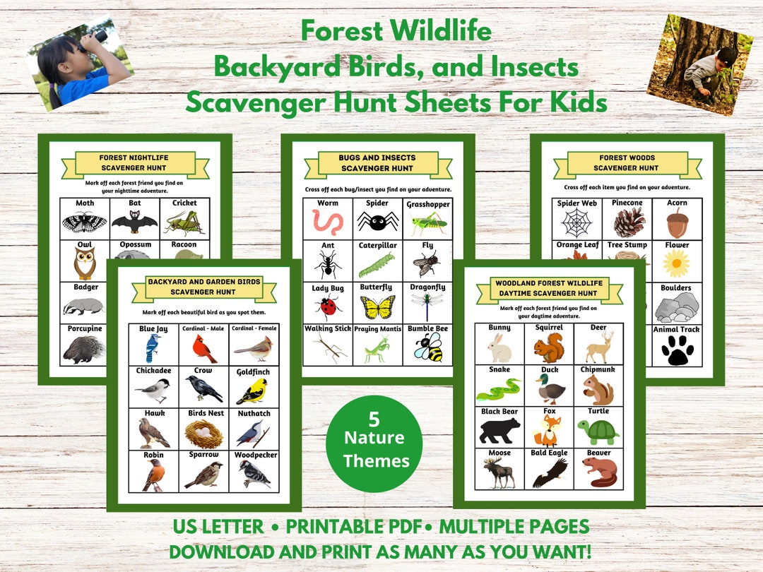 Kids Scavenger Hunt Printable Bundle Hiking Nature Trail Activity for ...