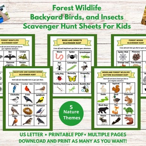Kids Scavenger Hunt Printable Bundle Hiking Nature Trail Activity for Children  Digital Download Outdoors Kid Game Birds Animals Insects