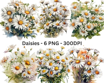 6 Watercolor Daisies Clipart PNG Bundle, Sublimation PNG, Daisies Douquet Png, White Daisies Png, Flower Bouquet Png, Digital Files Only
