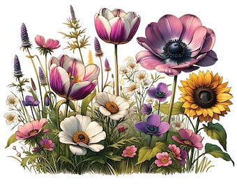14 PNG Aiuola di fiori selvatici Clipart, Clipart di fiori selvatici, Fiori selvatici disegnati a mano, Fiori selvatici botanici Png Download digitale, Carta artigianale