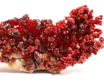 May include: A cluster of bright red crystals on a rough, tan-colored rock. The crystals are small and have a cubic shape. The rock is about 6 inches long.