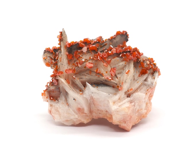 Vanadinite Barite 50mm x 30mm (75 grams). Bright red crystals on barite. Ethically sourced and fair trade mineral. Morocco, Mibladen.