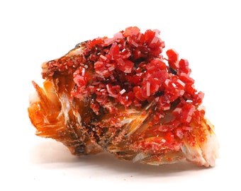 Peut inclure: Un groupe de cristaux de vanadinite rouge vif sur une matrice de baryte brune et blanche. Les cristaux sont nets et bien définis, avec un éclat vitreux.