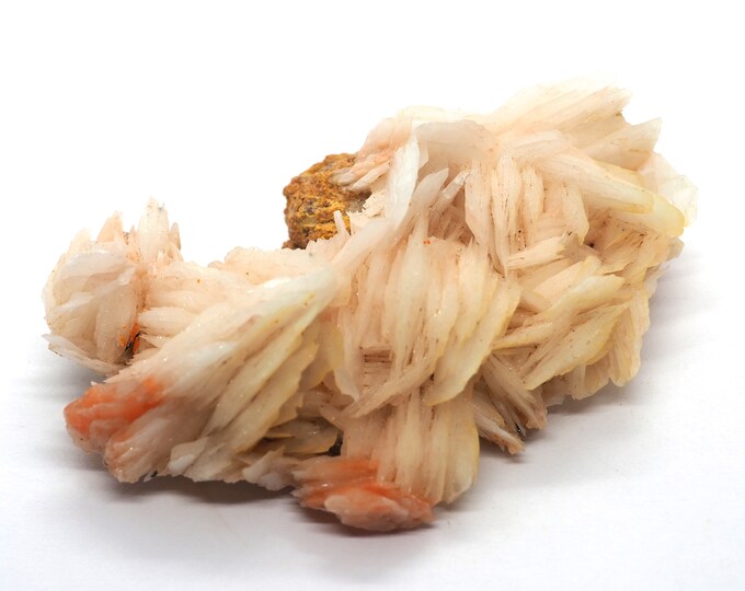 White with pink barite 75 mm x 45 mm (91 grams)