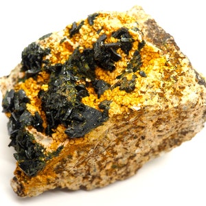 May include: A close-up of a mineral specimen featuring a rough, tan-colored matrix. Dark, needle-like crystals are clustered throughout, contrasted by areas of small, golden-yellow, granular formations. The mineral is set against a white background.