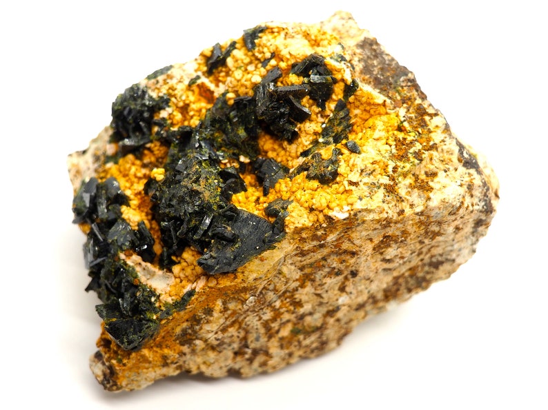 May include: A close-up of a mineral specimen featuring a rough, tan-colored matrix. Dark, needle-like crystals are clustered throughout, contrasted by areas of small, golden-yellow, granular formations. The mineral is set against a white background.