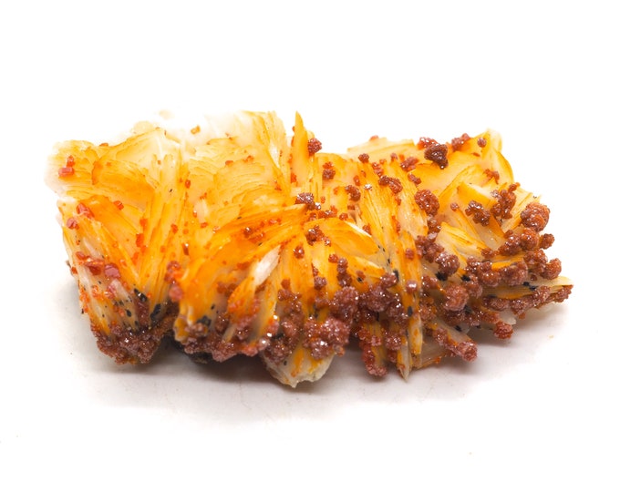 Vanadinite crystals on white barite 65 mm x 40 mm (81 grams)