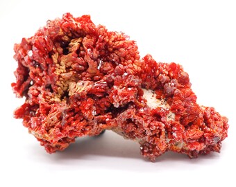 Rare floral Vanadinite 125mm x 70mm (498 grams) Ethically sourced and fair trade mineral.