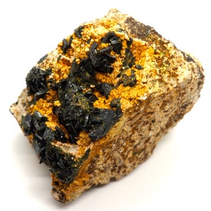 May include: A close-up of a mineral specimen featuring a rough, tan-colored matrix. The matrix is speckled with small, yellow-orange crystals and hosts clusters of lustrous, black, needle-like crystals. The mineral has a natural, earthy appearance.