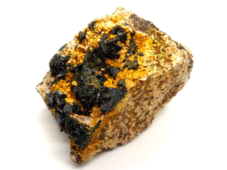 May include: A close-up of a mineral specimen featuring a rough, tan-colored matrix. The matrix is speckled with small, yellow-orange crystals and hosts clusters of lustrous, black, needle-like crystals. The mineral has a natural, earthy appearance.