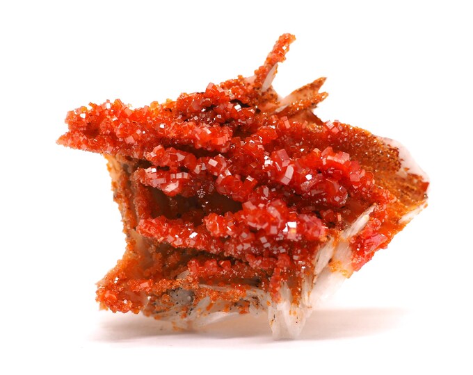 Vanadinite Barite 45mm x 35mm (43 grams). Bright red crystals on barite. Ethically sourced and fair trade mineral. Morocco, Mibladen.