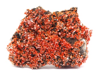 May include: A vibrant mineral specimen featuring a cluster of small, bright red crystals. The crystals are densely packed on a dark, rough matrix, creating a striking contrast. The overall shape is irregular, showcasing natural formations.