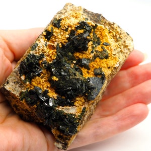 May include: A mineral specimen featuring a dark, crystalline structure atop a matrix of tan and yellow granular material. The mineral is held in a hand, showcasing its texture and color against a white background. The specimen appears to be a natural, unpolished stone.
